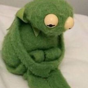 Meet your Posher, Kinsey